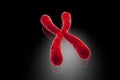 Human chromosomes, illustration Royalty Free Stock Photo