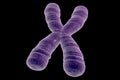 Human chromosomes, illustration Royalty Free Stock Photo