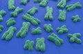 Human chromosomes 23 + X, Y structures made of protein and a single molecule of DNA - isometric view 3d illustration