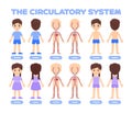 Human Circulatory System in Cartoon Color Style. Boy, Girl in Underwear, Clothes. Front Back View. Poster for Study of Anatomy