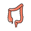 Human colon doodle icon, vector illustration Royalty Free Stock Photo