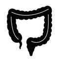 Human colon or intestine vector icon