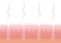 Human Cutaneous Respiration Skin Breathing