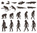 Human Darwin Evolution Silhouettes Set