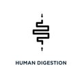 Human digestion icon. Simple element illustration. Human digesti