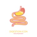 Digestive system. Gastrointestinal tract, stomach, intestine. Vector sign for ad of meds, supplements for good digestion