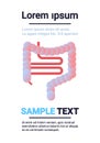 Human digestive system intestine internal organ symbol gut health anatomy healthcare concept infographic template copy