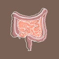 Human digestive system intestines gut anatomy gastrointestinal tract diagram. Styling hatching Royalty Free Stock Photo