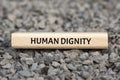 HUMAN DIGNITY - image with words associated with the topic COMMUNITY OF VALUES, word, image, illustration