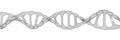 Human DNA .Biotechnology, biochemistry, genetics and medicine concept.illustration
