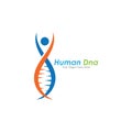 Human DNA and genetic vector icon design. Royalty Free Stock Photo