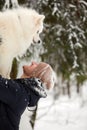 A human and a dog are best friends. Man and dog walk in snowy forest in winter in deep snow on a sunny day. Royalty Free Stock Photo