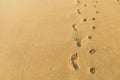 Human and dog footprint on brown sandy beach, nature texture background Royalty Free Stock Photo