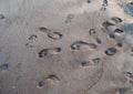 Pawprints and footprints Royalty Free Stock Photo