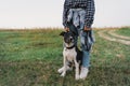 Human and a dog. Teengirl and her friend staffer dog on the field background