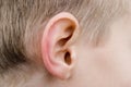 Human ear Royalty Free Stock Photo