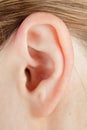 Human ear, auricle close-up, structure, anatomy, human hearing Royalty Free Stock Photo