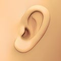Human ear background detail