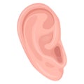 Human ear, body part flat vector illustration