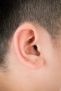 Human ear closeup Royalty Free Stock Photo