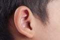 Human ear closeup. Royalty Free Stock Photo