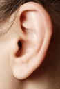 Human ear closeup Royalty Free Stock Photo