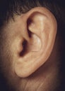 Human ear detail close-up macro shot