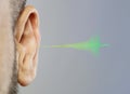 Human ear detail close-up macro shot Royalty Free Stock Photo