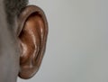 Human ear detail close-up macro shot Royalty Free Stock Photo