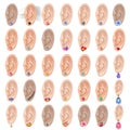 Human ear & earring bundle set Royalty Free Stock Photo