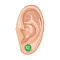 Human ear & earring Royalty Free Stock Photo