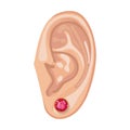 Human ear & earring