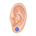 Human ear & earring