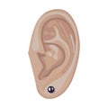 Human ear & earring