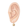 Human ear & hanging pearl earring