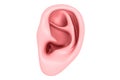 Human Ear Royalty Free Stock Photo