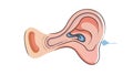 Human Ear Organ, Auditory System Icon, vector design Generative AI Royalty Free Stock Photo
