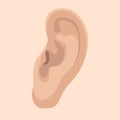 Human ear, vector illustration,flat style, profile