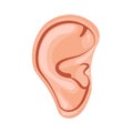 Human ear, Vector illustration icon design character