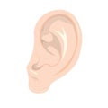 Human ear vector Illustration on white background Royalty Free Stock Photo