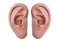 Human ears