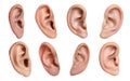 Human ears on white background, collage. Organ of hearing and balance Royalty Free Stock Photo