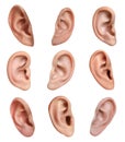 Human ears on white background, collage. Organ of hearing and balance Royalty Free Stock Photo