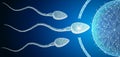 Human Egg Cell Fertilization with Sperm Cells Inside of Uterus Royalty Free Stock Photo