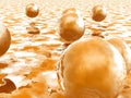 Human Egg Cell Royalty Free Stock Photo