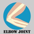 Human elbow joint