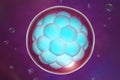 Human embryo on colorful background Royalty Free Stock Photo