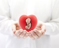 Human embryo in red heart on hands Royalty Free Stock Photo