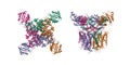 Structure of the human ether-a-go-go related potassium channel