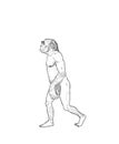 Human evolution illustration Royalty Free Stock Photo